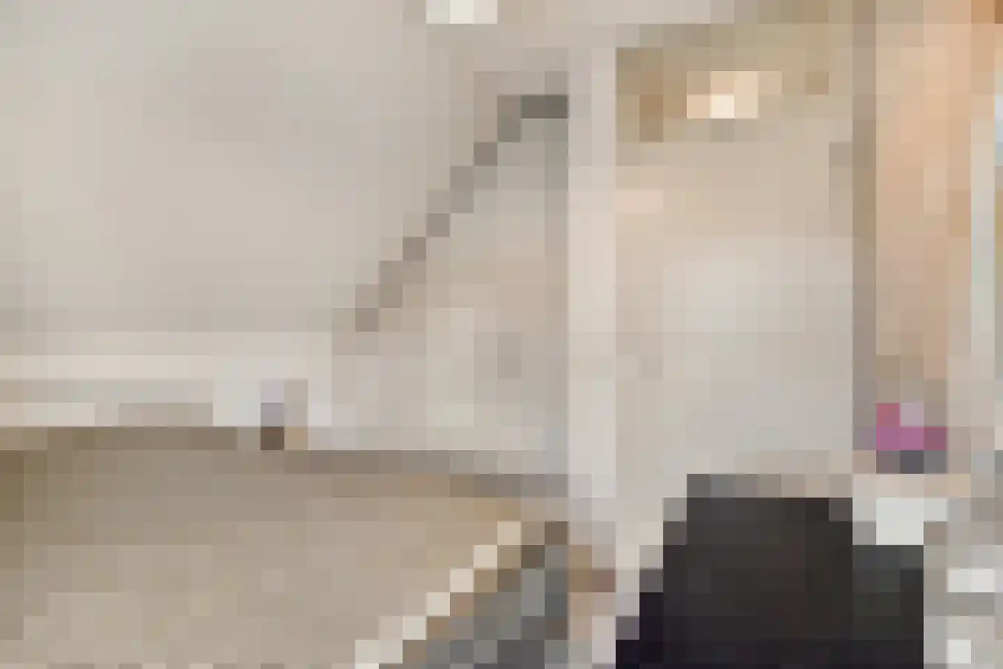 Leiakker 20 Waarland thumbnail 31