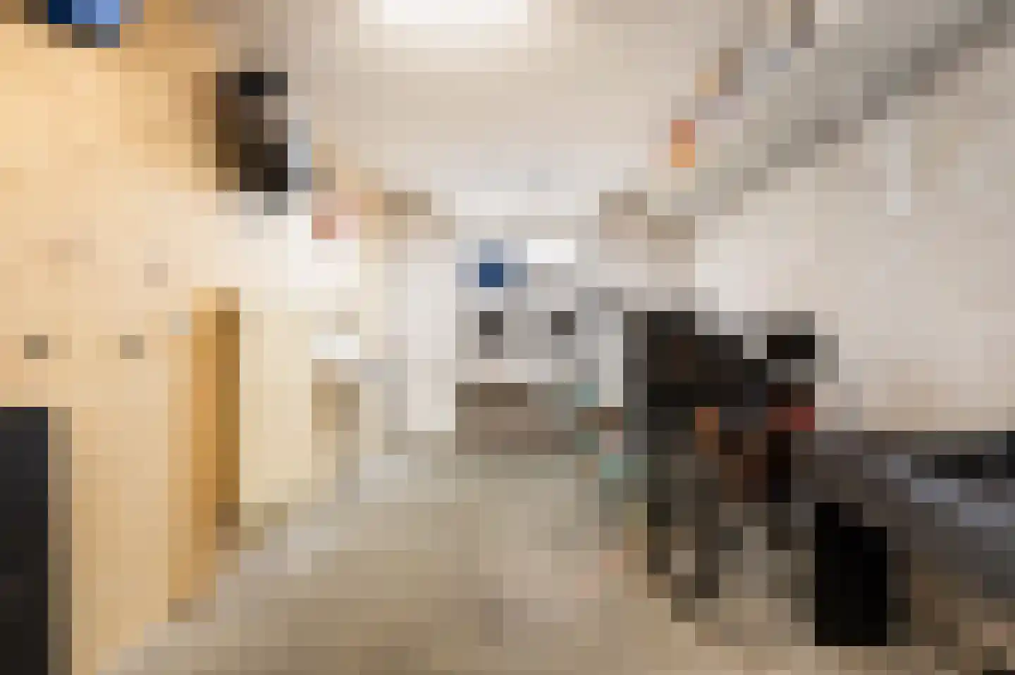 Leiakker 20 Waarland thumbnail 49