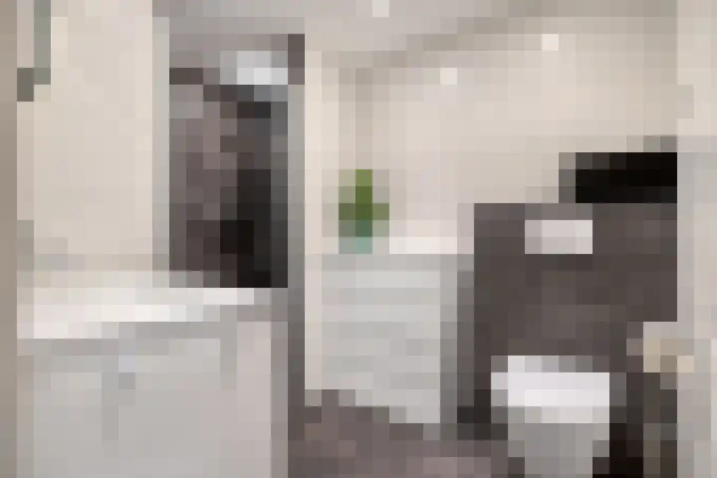 Leiakker 20 Waarland thumbnail 5