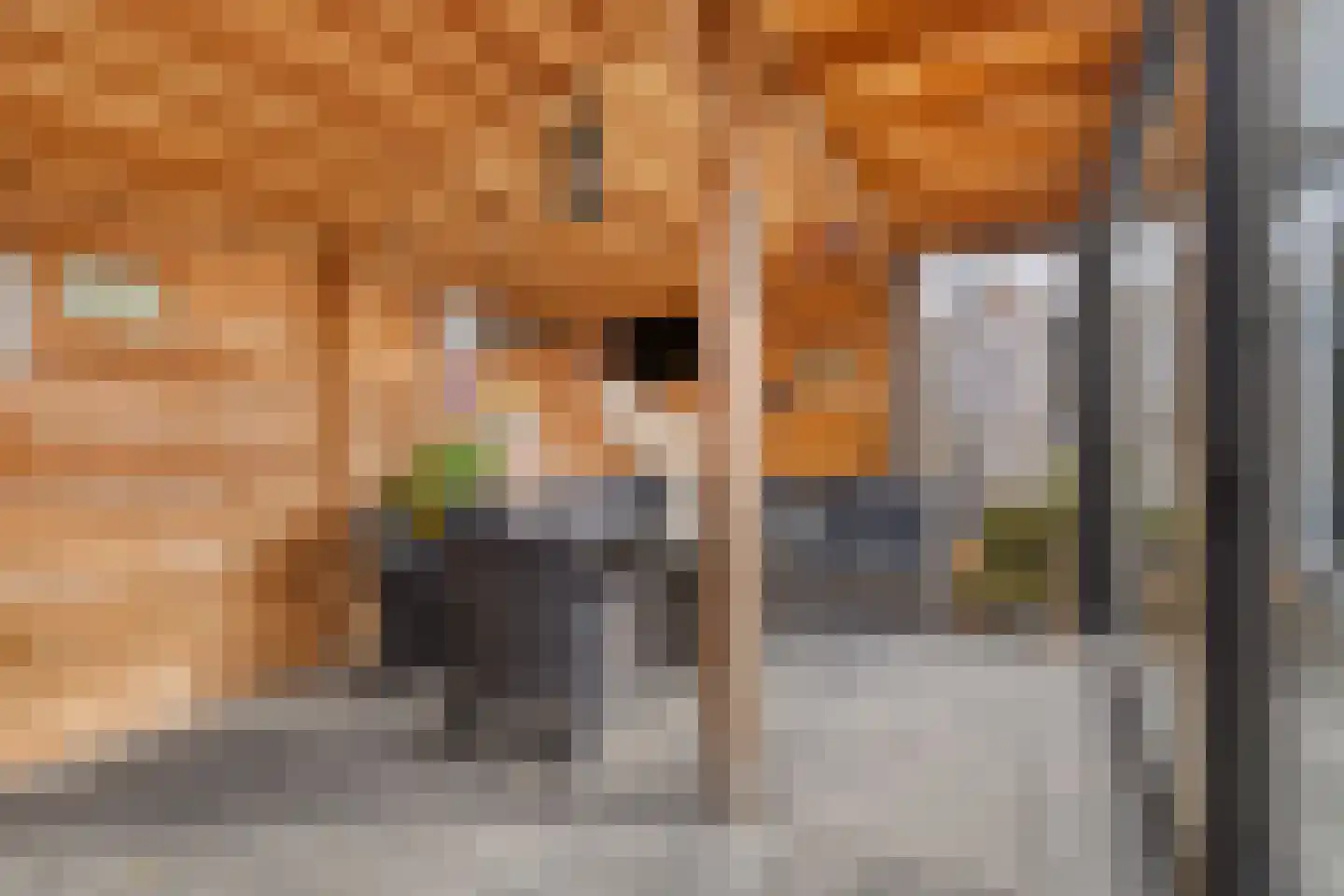 Leiakker 20 Waarland thumbnail 55