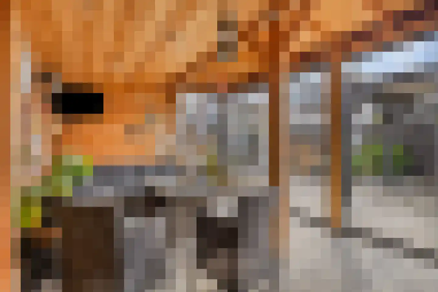 Leiakker 20 Waarland thumbnail 56