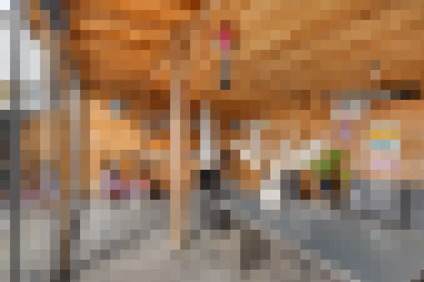 Leiakker 20 Waarland thumbnail 57