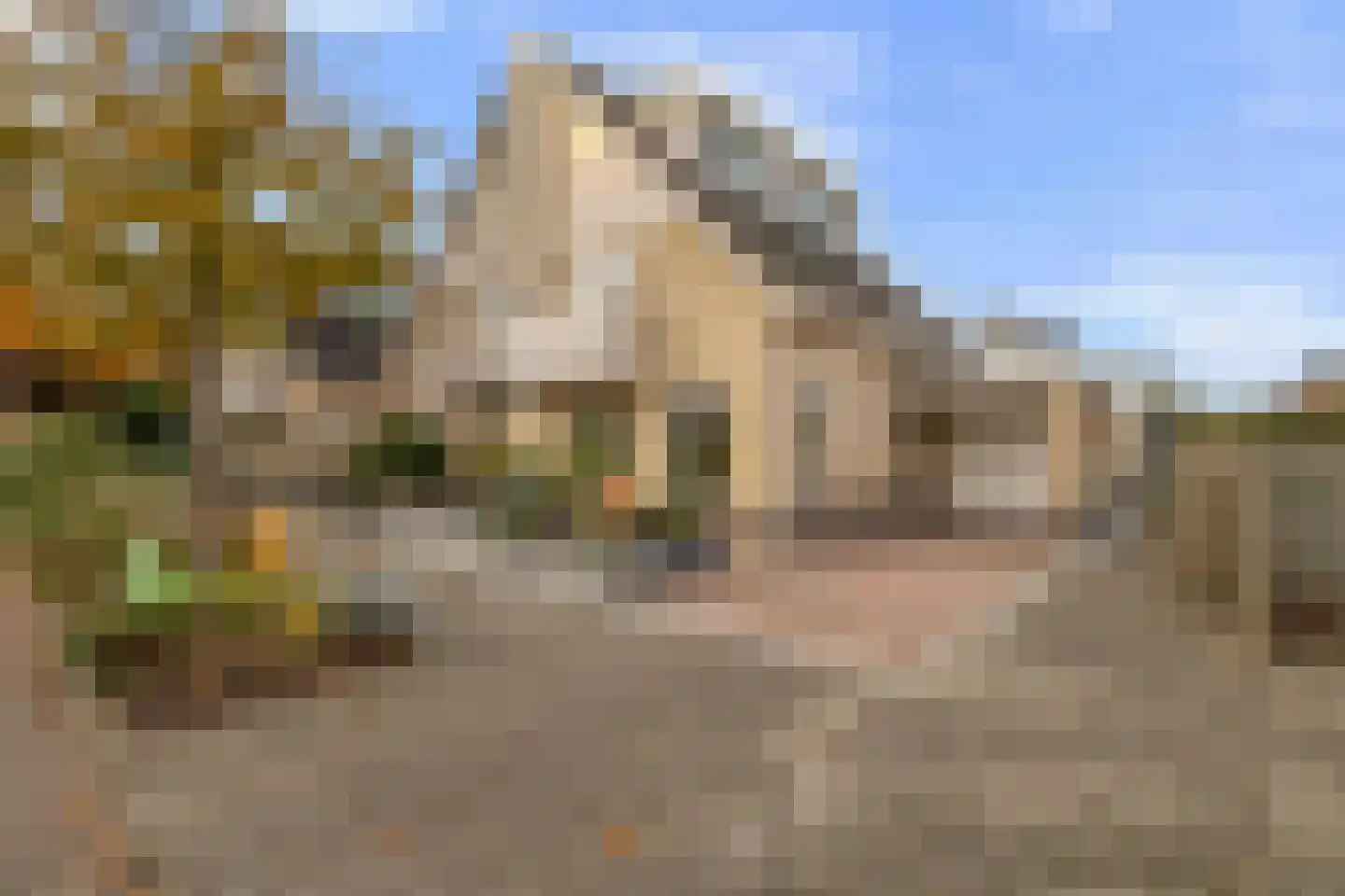 Leiakker 20 Waarland thumbnail 7