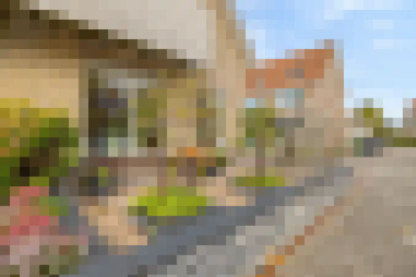 Leiakker 20 Waarland thumbnail 9