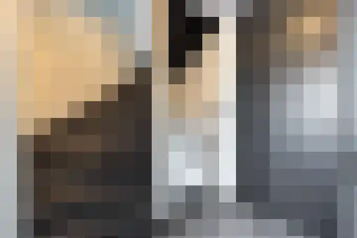 Leibeek 14 Barneveld thumbnail 14