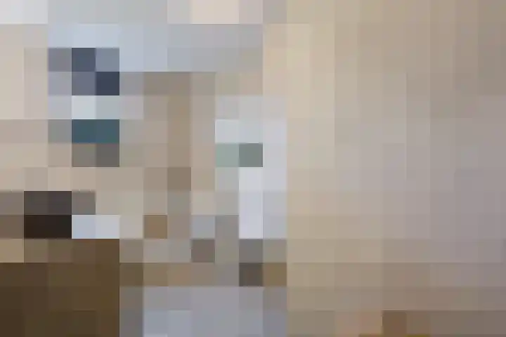 Leibeek 14 Barneveld thumbnail 15
