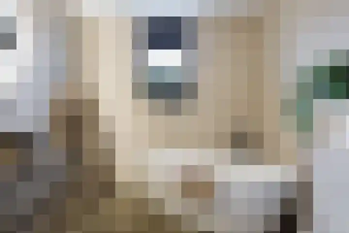 Leibeek 14 Barneveld thumbnail 16