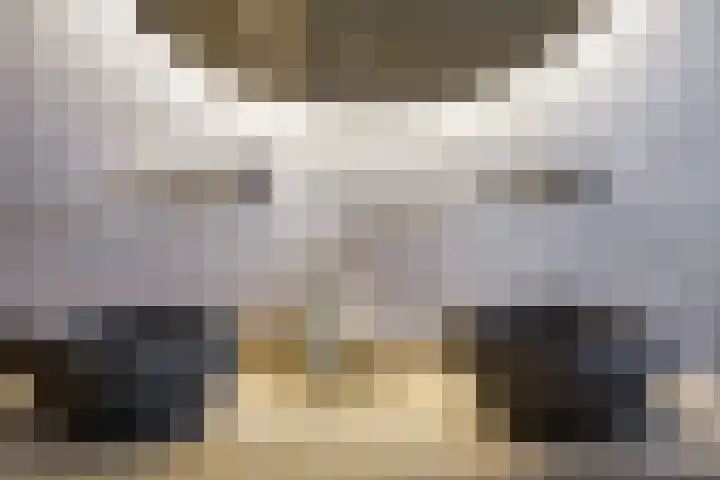 Leibeek 14 Barneveld thumbnail 18