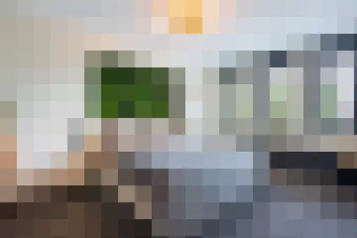 Leibeek 14 Barneveld thumbnail 20
