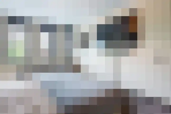 Leibeek 14 Barneveld thumbnail 23