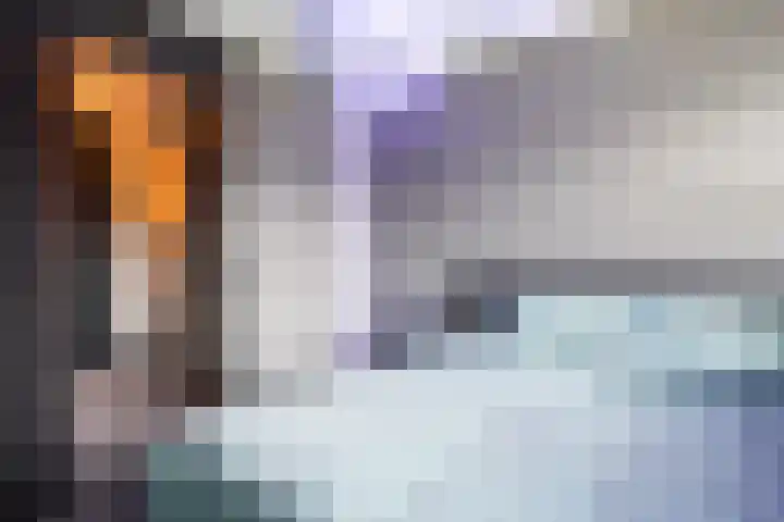 Leibeek 14 Barneveld thumbnail 29
