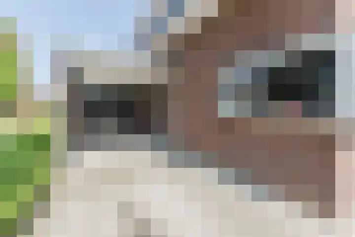 Leibeek 14 Barneveld thumbnail 34
