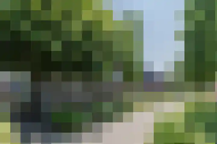 Leibeek 14 Barneveld thumbnail 42