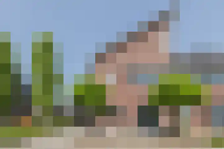 Leibeek 14 Barneveld thumbnail 44