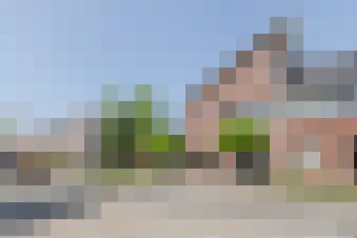 Leibeek 14 Barneveld thumbnail 47