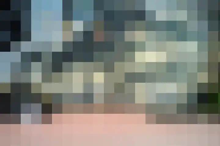 Leibeek 14 Barneveld thumbnail 7