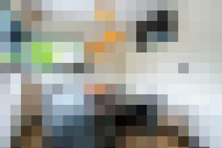 Leibeek 14 Barneveld thumbnail 9