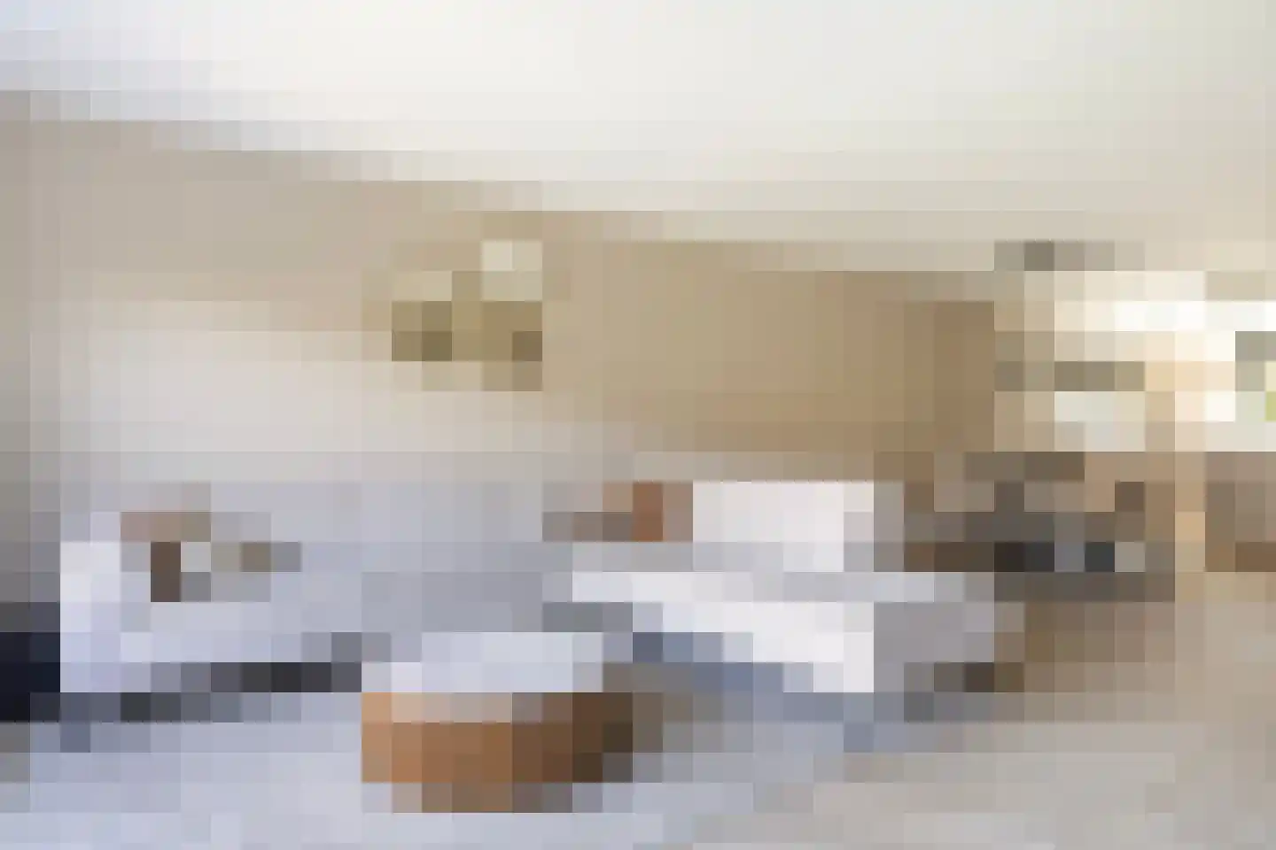 Leibeek 20 Barneveld thumbnail 10