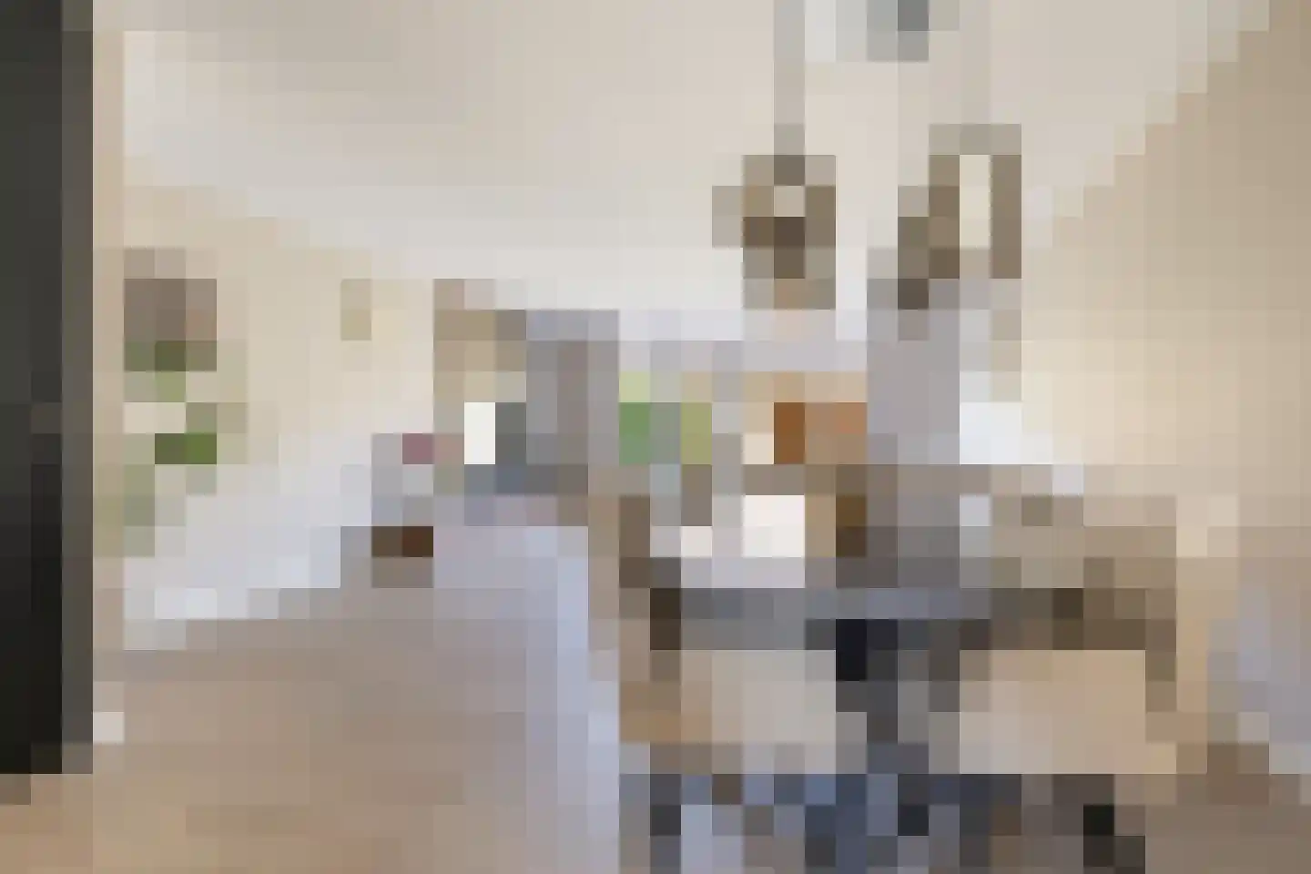 Leibeek 20 Barneveld thumbnail 14