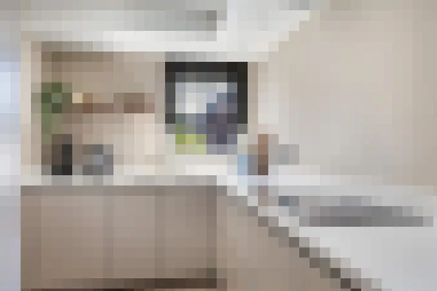 Leibeek 20 Barneveld thumbnail 16