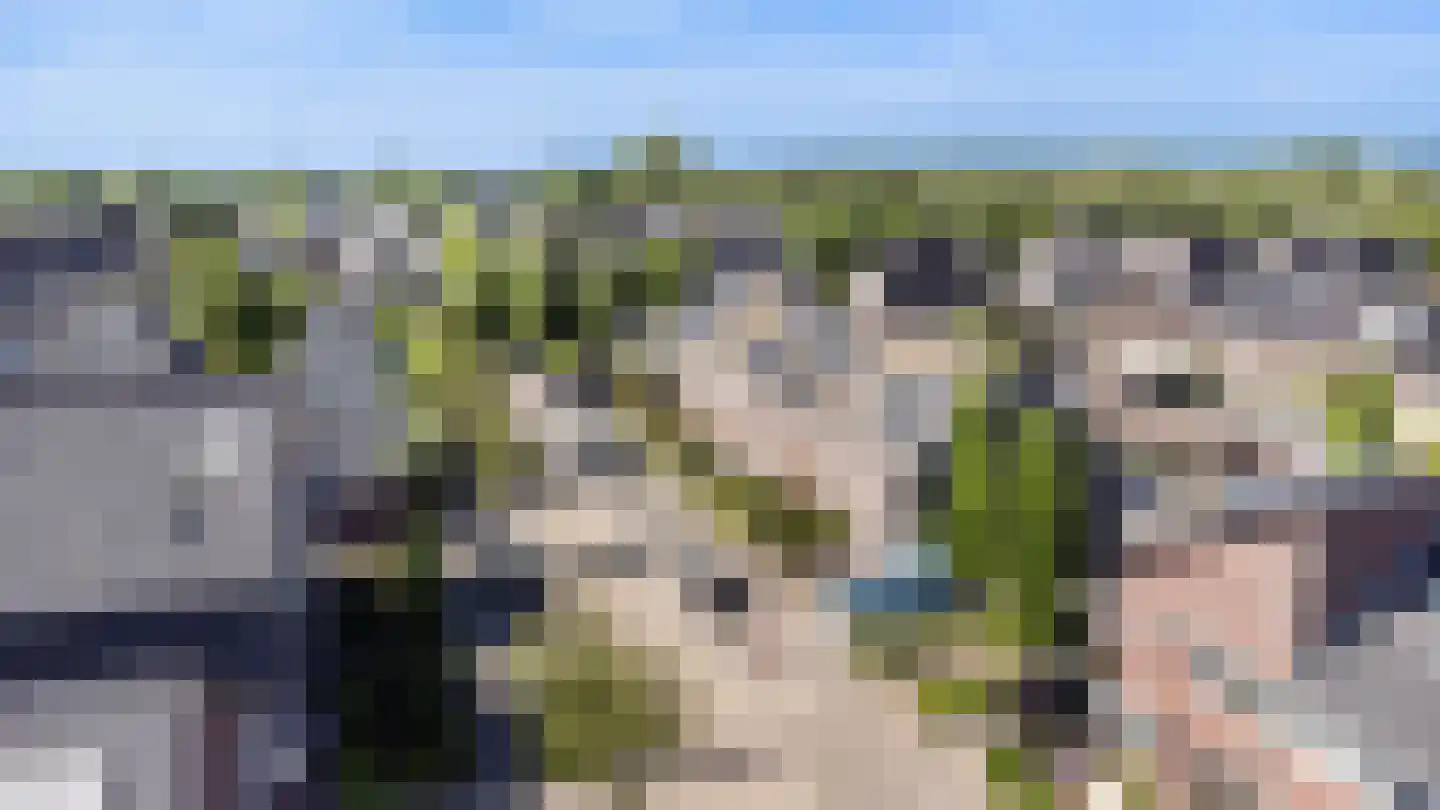Leibeek 20 Barneveld thumbnail 33