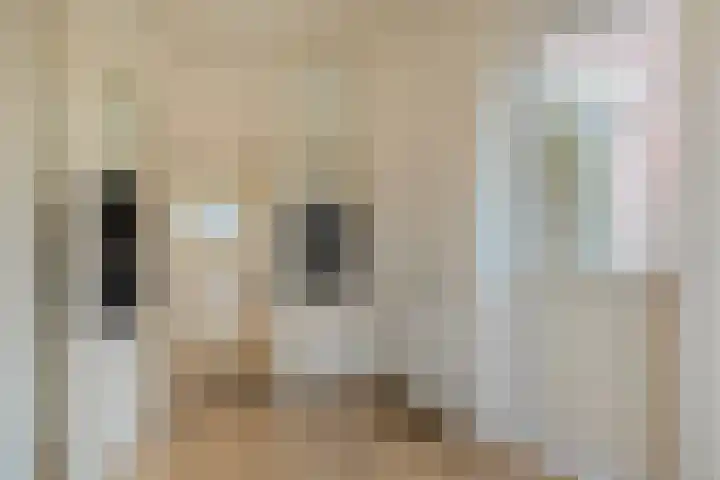 Leibeemd 130 Rijen thumbnail 14