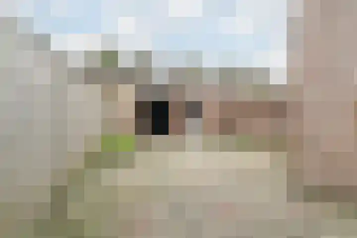 Leibeemd 130 Rijen thumbnail 17