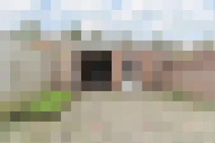 Leibeemd 130 Rijen thumbnail 18