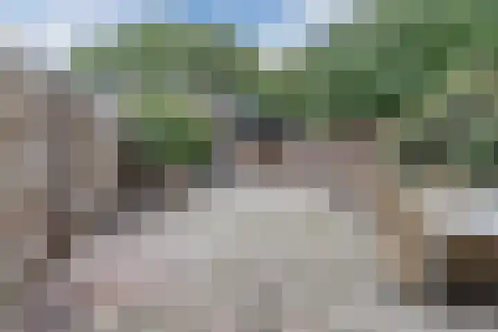 Leibeemd 140 Rijen thumbnail 16