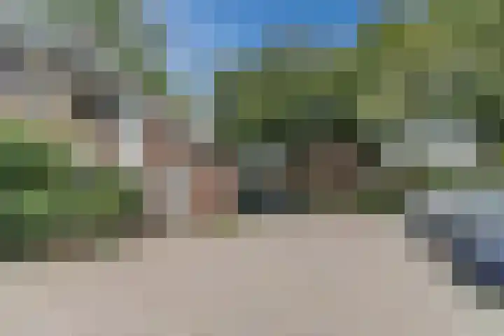 Leibeemd 140 Rijen thumbnail 37