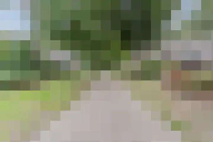 Leibeemd 140 Rijen thumbnail 39