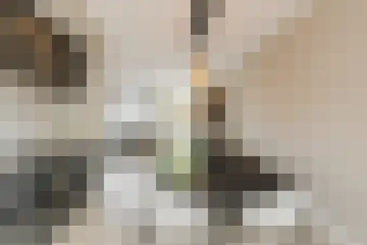 Leibeemd 146 Rijen thumbnail 17