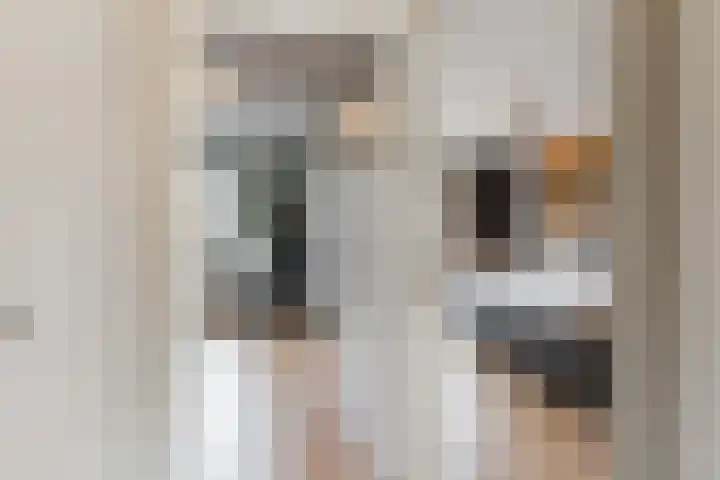 Leibeemd 146 Rijen thumbnail 28