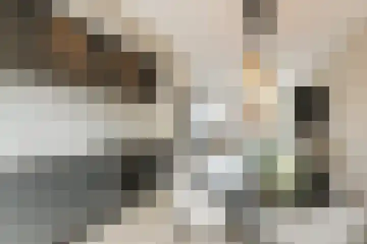 Leibeemd 146 Rijen thumbnail 4