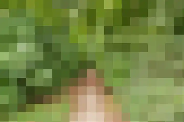 Leibeemd 146 Rijen thumbnail 46