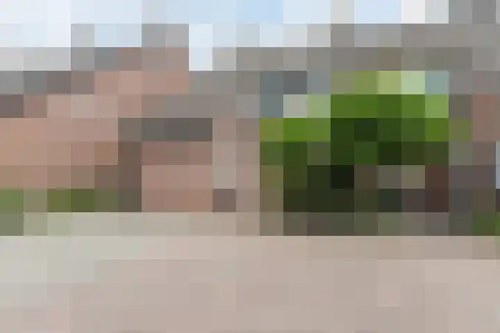 Leibeemd 146 Rijen thumbnail 47