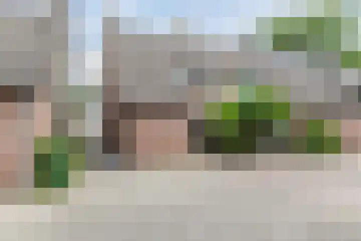 Leibeemd 146 Rijen thumbnail 48