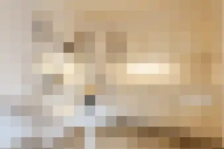 Leibeemd 54 Rijen thumbnail 14