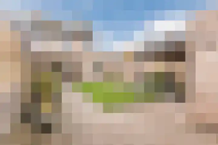 Leibeemd 54 Rijen thumbnail 17