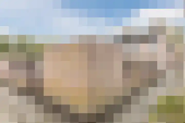 Leibeemd 54 Rijen thumbnail 31