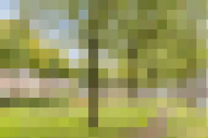 Leibeemd 54 Rijen thumbnail 33