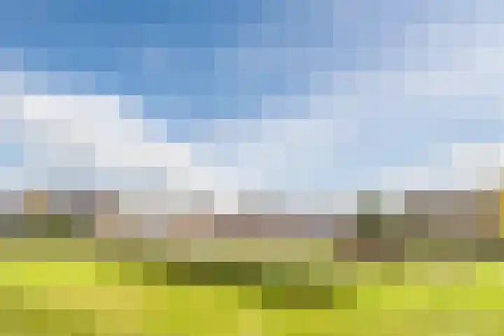 Leibeemd 54 Rijen thumbnail 34