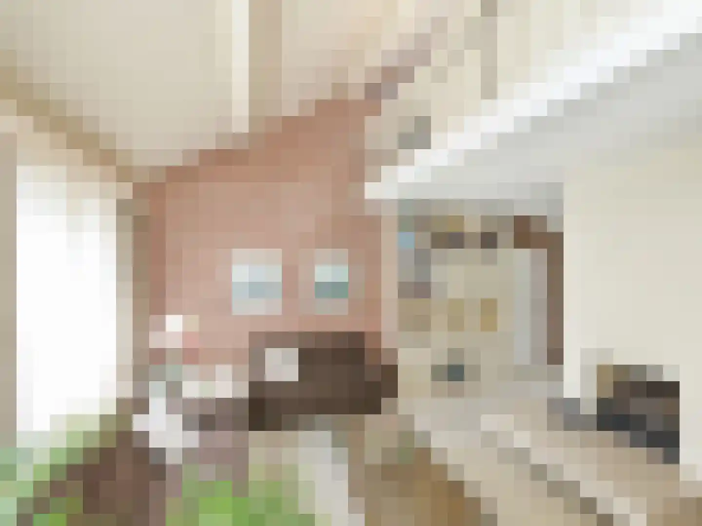 Leibnizstraat 20 Badhoevedorp foto 2