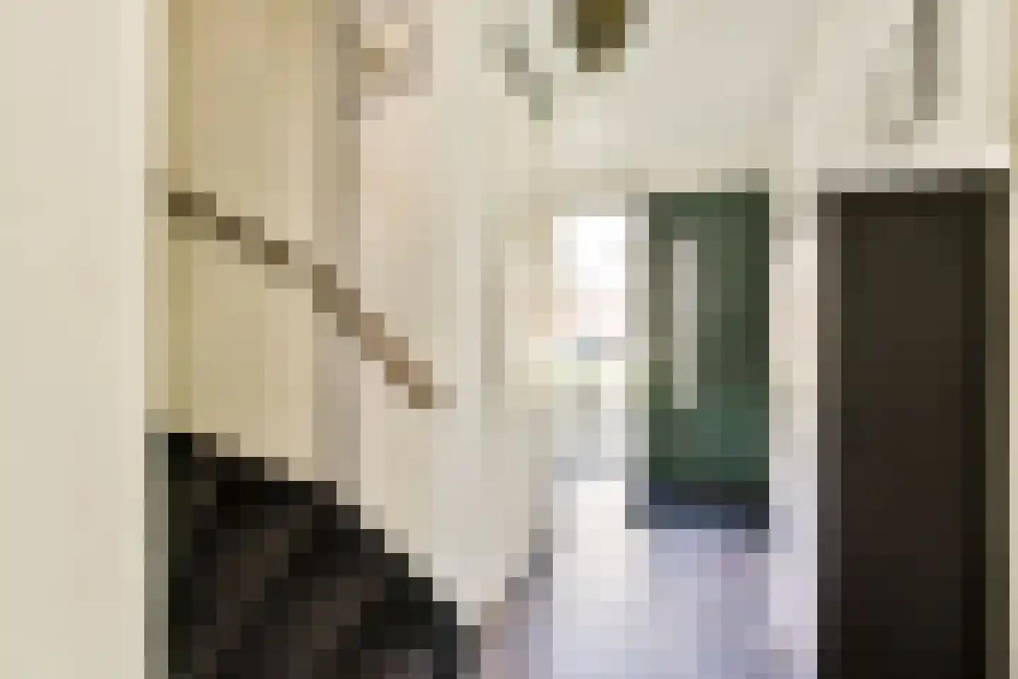 Leibnizstraat 22 Amsterdam thumbnail 17
