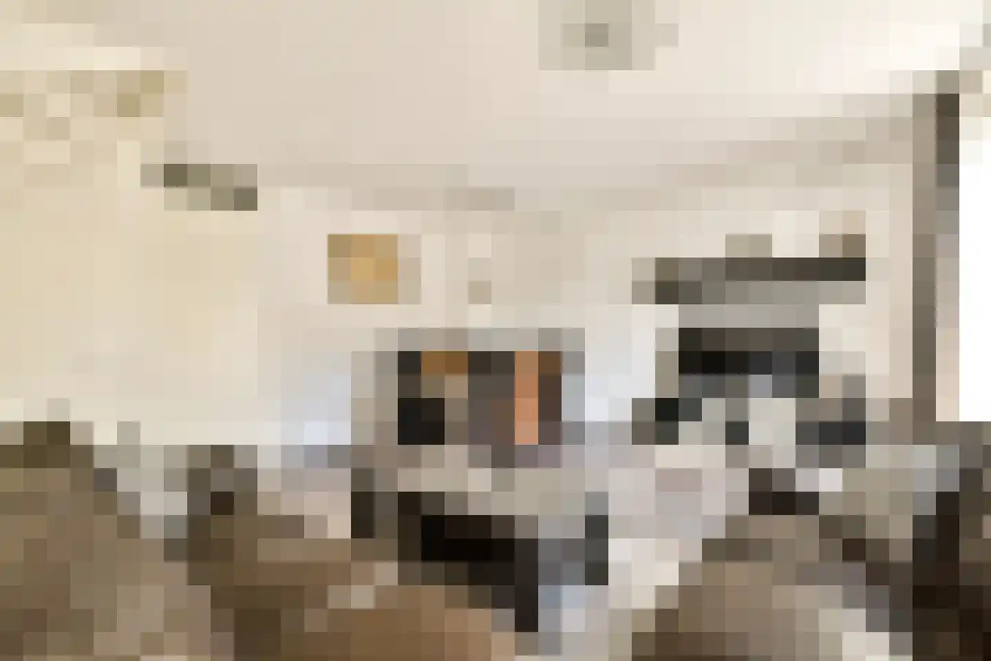 Leibnizstraat 22 Amsterdam thumbnail 7