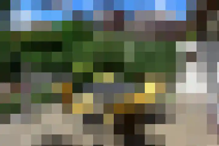 Leibnizstraat 8 Badhoevedorp thumbnail 26