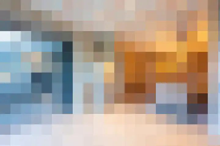 Leiboom 21 Oudenbosch thumbnail 25