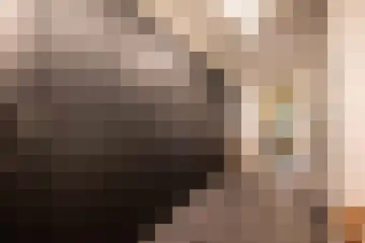 Leiboom 21 Oudenbosch thumbnail 28