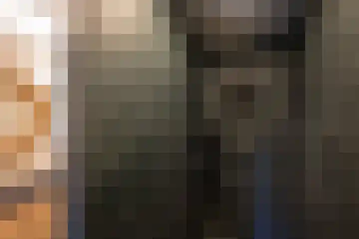 Leiboom 21 Oudenbosch thumbnail 31