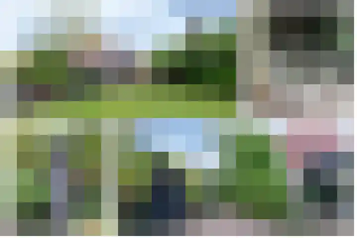 Leiboom 21 Oudenbosch thumbnail 32